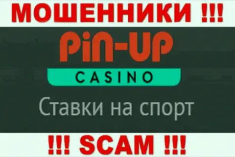 Основная работа PinUp Casino - это Casino, будьте весьма внимательны, прокручивают делишки противоправно
