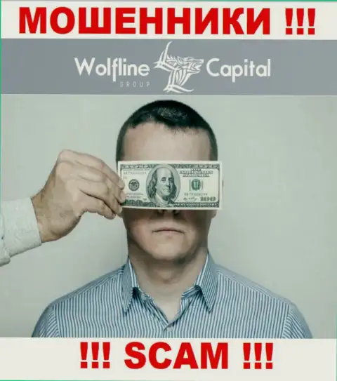 Деятельность Wolfline Capital ПРОТИВОЗАКОННА, ни регулятора, ни лицензии на право осуществления деятельности нет
