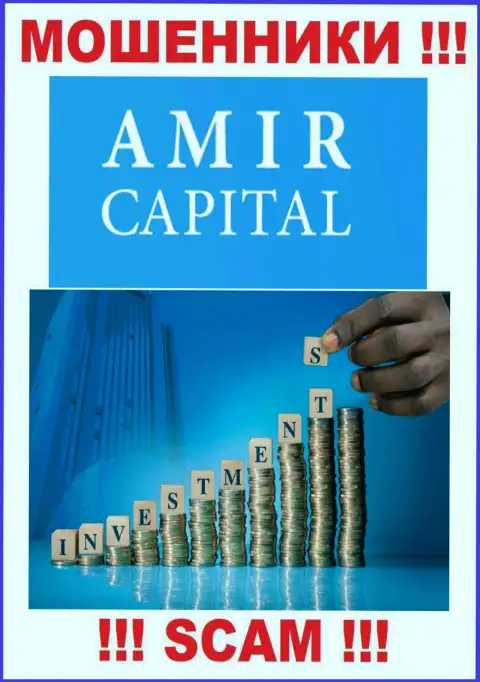 Не вводите денежные средства в Амир Капитал, направление деятельности которых - Инвестиции