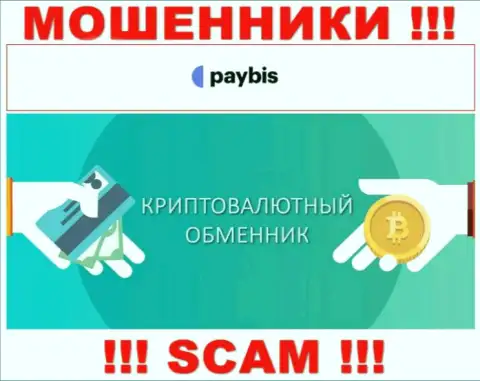 Crypto exchanger это тип деятельности преступно действующей компании PayBis
