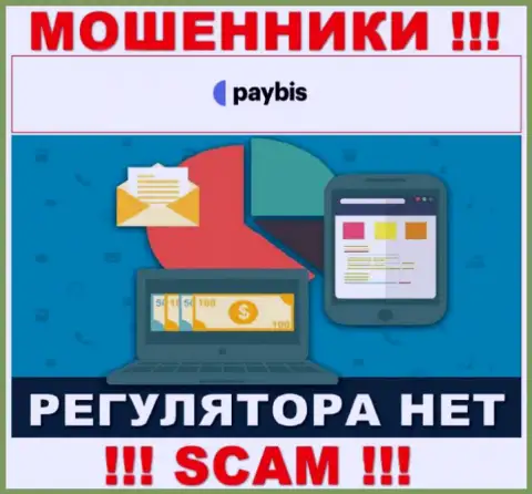 У PayBis на web-портале нет информации о регуляторе и лицензионном документе конторы, значит их вообще нет