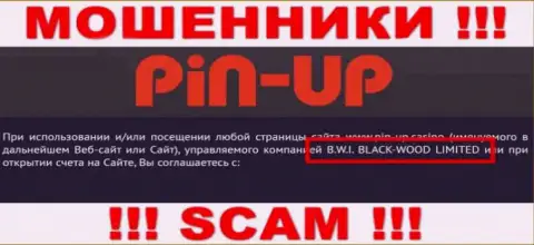 Аферисты PinUpCasino принадлежат юр. лицу - B.W.I. BLACK-WOOD LIMITED