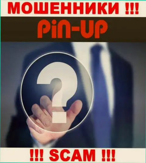 Не работайте совместно с мошенниками PinUp Casino - нет информации о их прямом руководстве