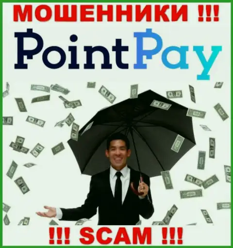 Не попадите в руки internet-мошенников Point Pay, финансовые средства не увидите