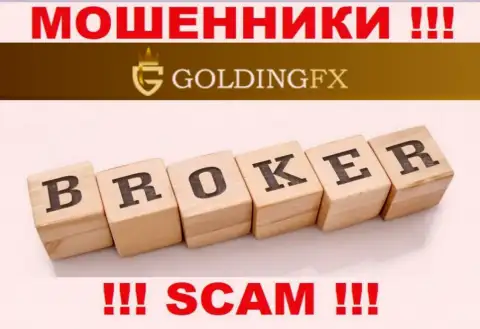 Broker - это именно то, чем промышляют мошенники GoldingFX