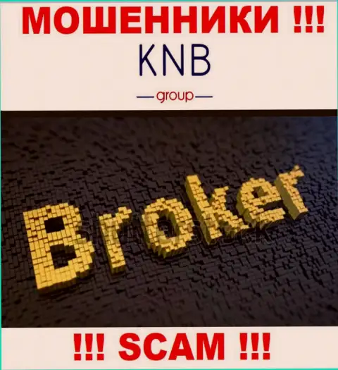 Область деятельности противозаконно действующей организации KNB-Group Net - это Брокер