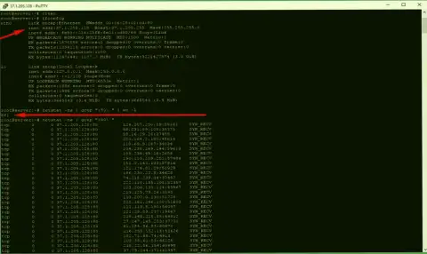 Доказательство DDoS-атаки на сервер maximarkets.pro